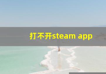 打不开steam app